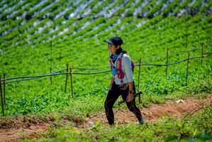 BIB: 
                            <button type="button" onclick="openModal(19164680)" class="btn btn-primary btn-sm float-right btn-popup" data-toggle="modal" data-target=".modal-high-quality">
                        <i class="fas fa-shopping-cart"></i> Add to Cart
                    </button>
                                            <button type="button" onclick="isThisMe(19164680, true)" class="btn btn-success btn-sm float-right btn-popup btn-isme hidden" data-toggle="tooltip" data-placement="bottom" title="นี่คือรูปของคุณใช่ไหม คลิกที่นี่เพื่อเอาเข้าอัลบั้ม">
                        <i class="fas fa-plus"></i> Add to album
                    </button>
                    <button type="button" onclick="isThisMe(19164680, false)" class="btn btn-warning btn-sm float-right btn-popup btn-isnotme hidden">
                        <i class="fas fa-ban"></i> Remove from album
                    </button>